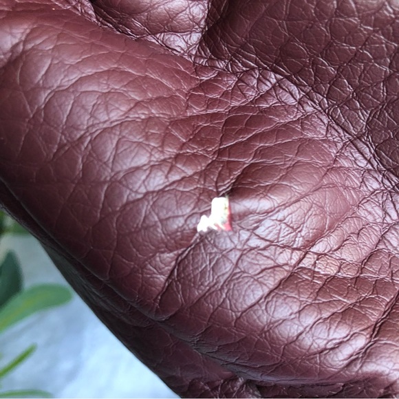 Giani Bernini Promo Pebble Bag, Wine - Picture 12 of 12